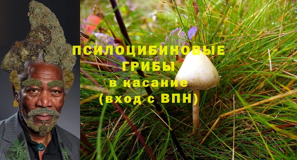 мескалин Белокуриха